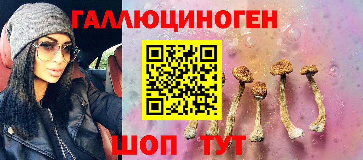 Печора  Галлюциногенные грибы Psilocybine cubensis  Псилоцибиновые грибы GOLDEN TEACHER  Вход с VPN 